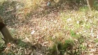 village wife outdoor sex video