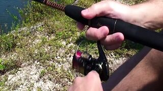 Catch of the day
