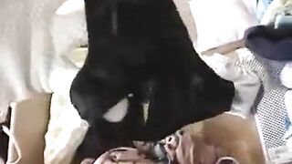 Japanese Panty Drawer: Amateur Asian Lingerie Nylon Fun