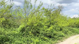 POV Roadside Debauchery Wet Pleasure by the River