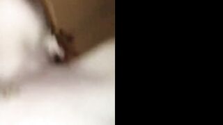 Redhead American Amateur Rides to Orgasm at Home