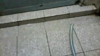 Malaysian Man Masturbates in a Toilet - Amateur Asian Solo
