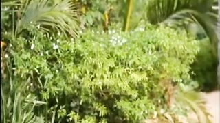 Sri Lankan Adult Movie - Umathuwa