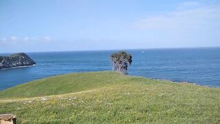 Public Blowjob with a View: Amateur Couple Almost Caught!
