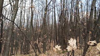 Public fuck in autumn forest with a big-ass teen bitch.
